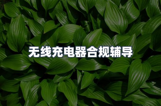 无线充电器合规辅导