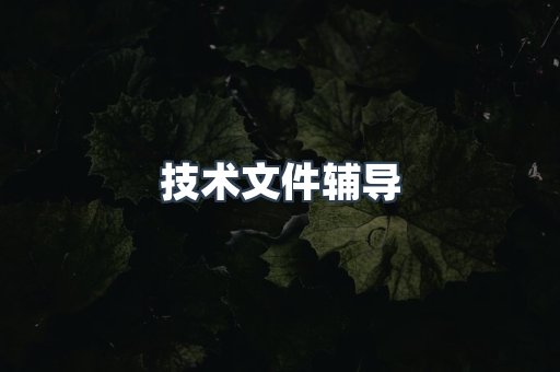 技术文件辅导
