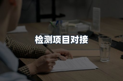 检测项目对接